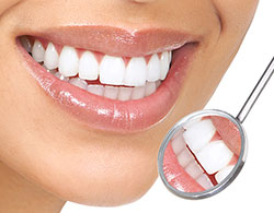 Cosmetic Dentist | Dentist In Venice, FL | Clark J Wright, DMD